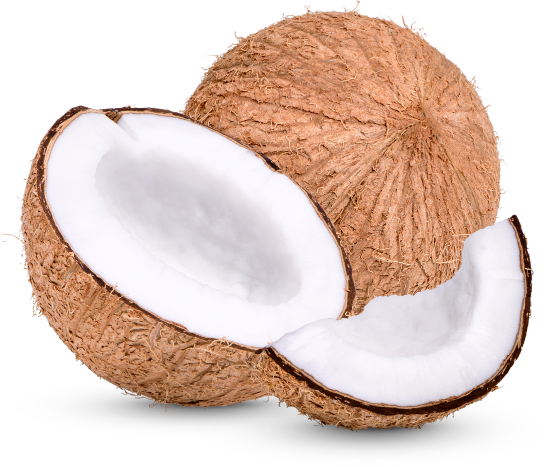 coconut